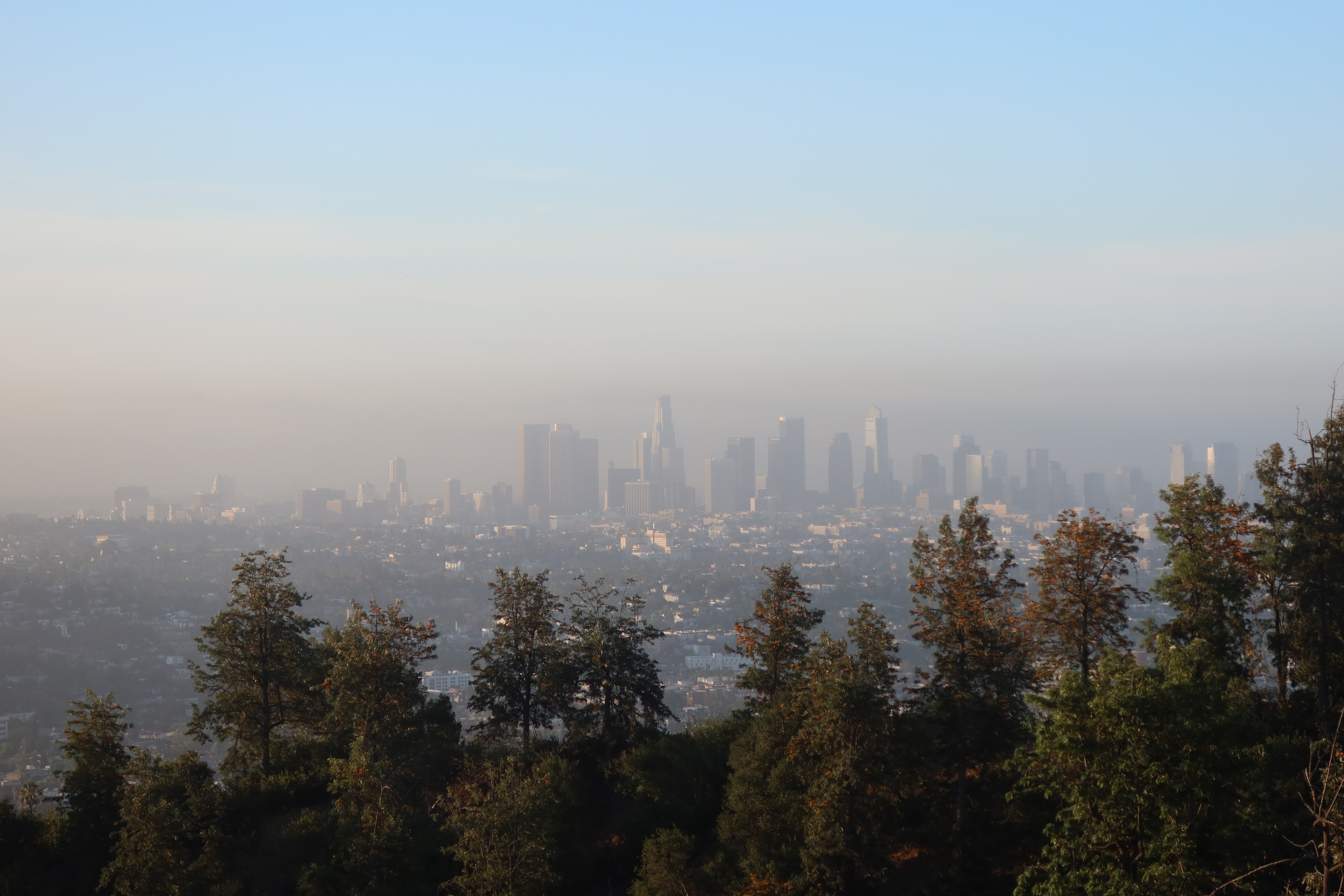 LA skyline2